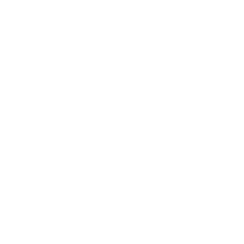 Berdine's Five & Dime logo